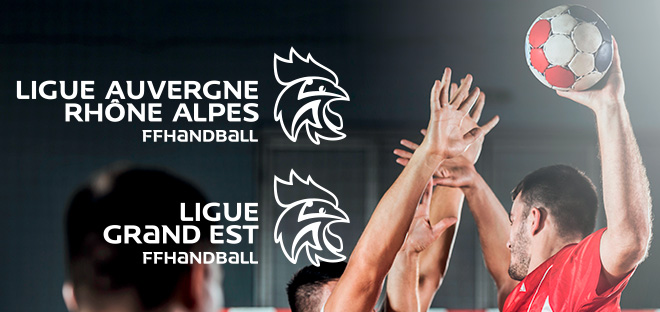 Fédération Française de Handball